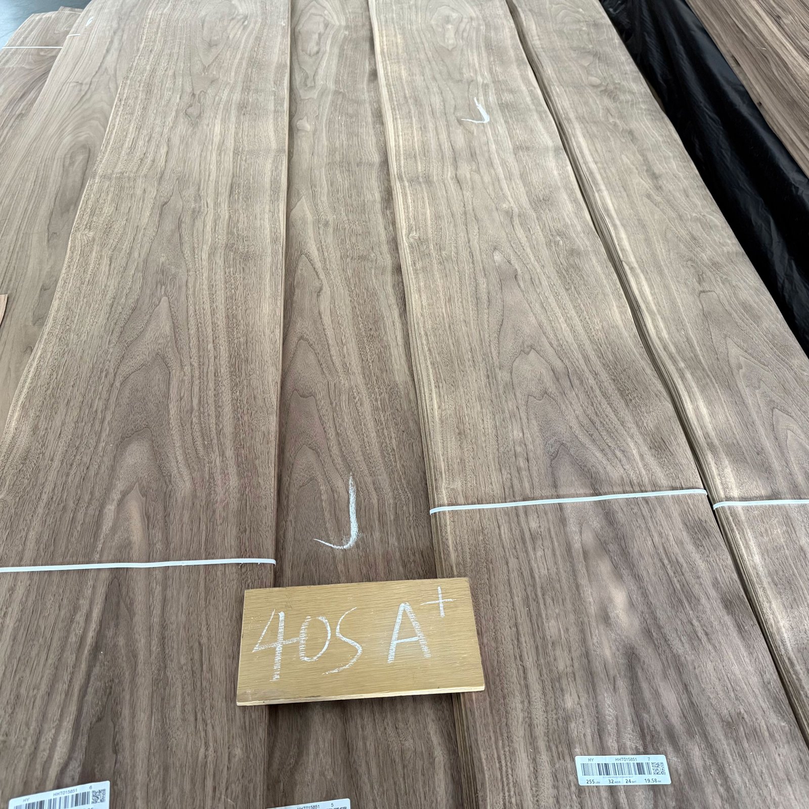 Natural Black Walnut Crown Cut Veneer 40S – A+ Grade