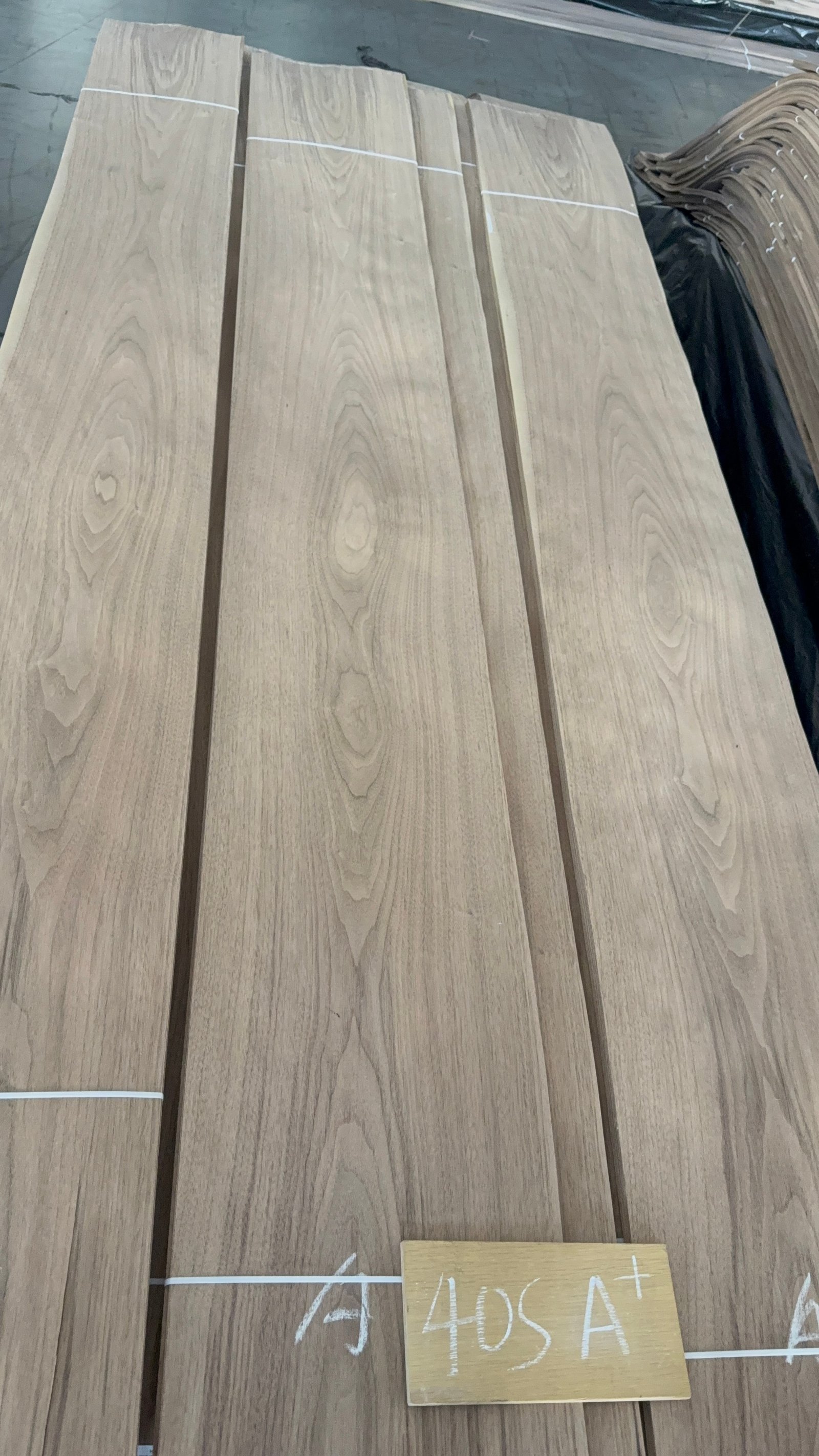 Natural Black Walnut Crown Cut Veneer 40S – A+ Grade