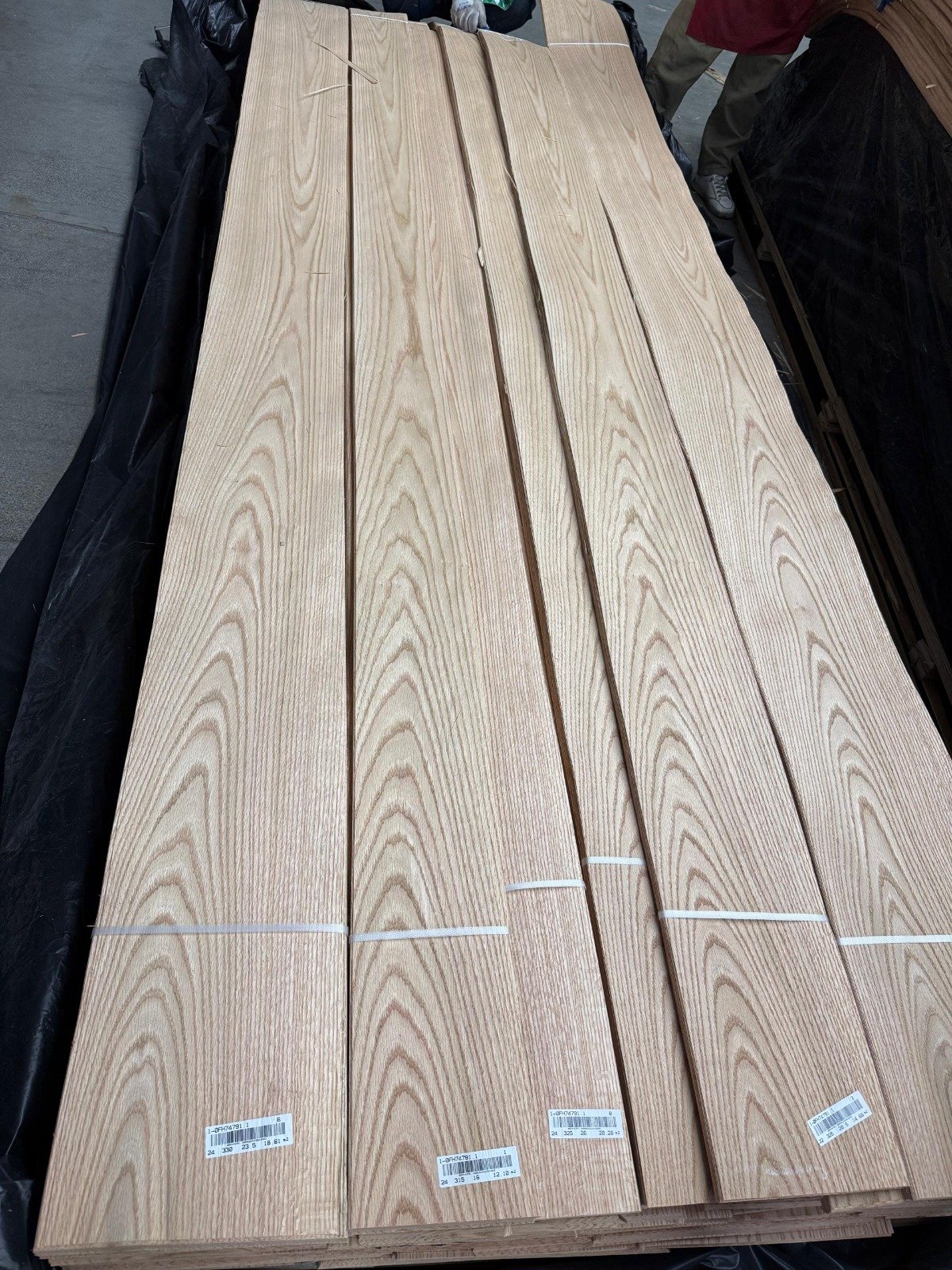 American Red Oak Veneer 0.5 mm – AA+ Grade