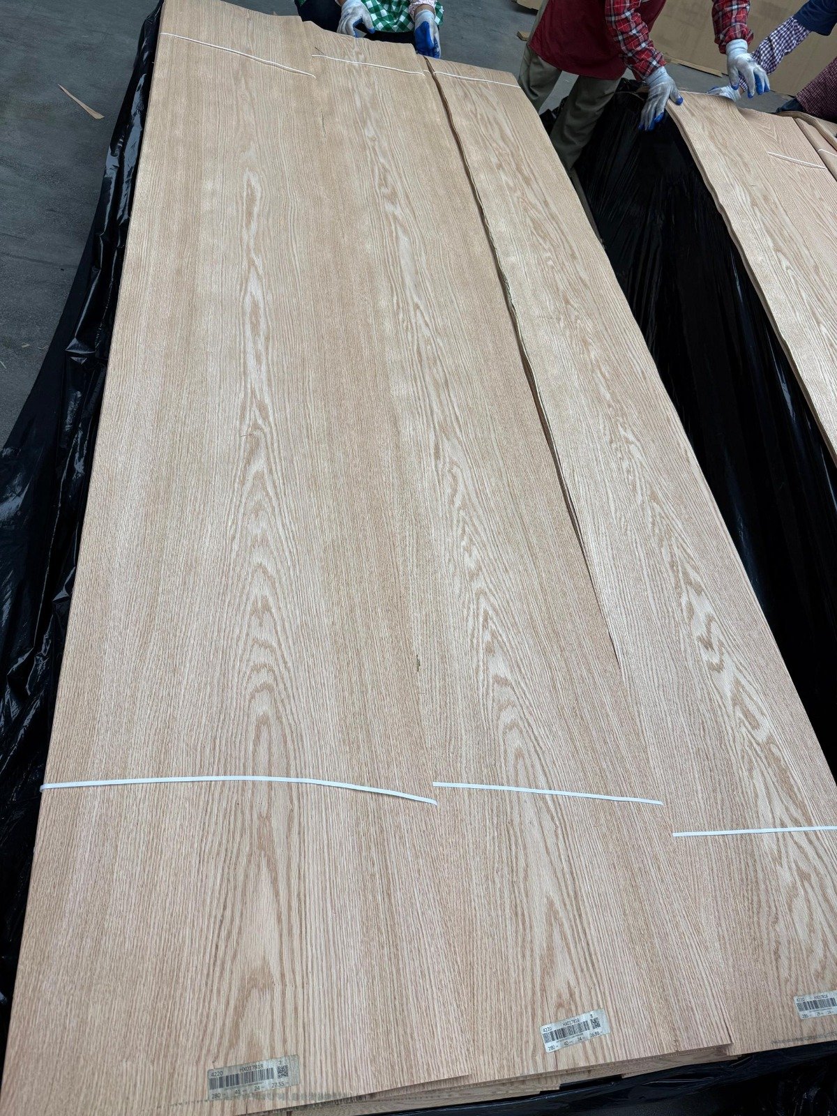 American Red Oak Veneer 0.5 mm – AA+ Grade