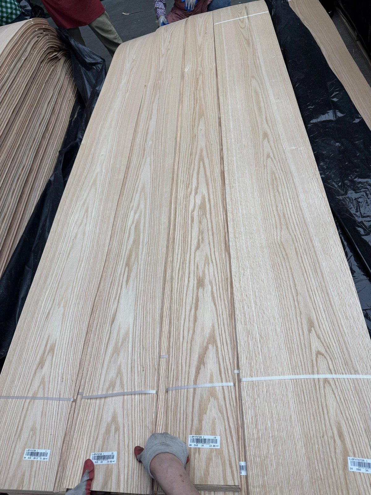 American Red Oak Veneer 0.5 mm – AA+ Grade